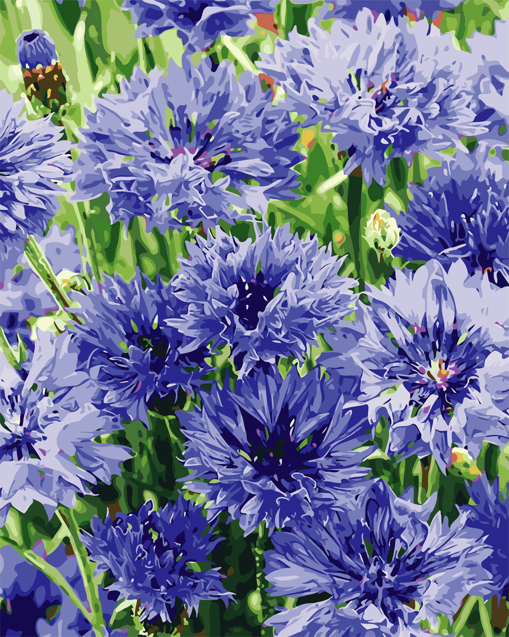 Картина по номерам "Васильки" 40*50см Картина по номерам "Васильки" 40*50см