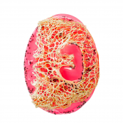 Натуральне мило скраб з люфою Top Beauty з ароматом малини. Зображення №3