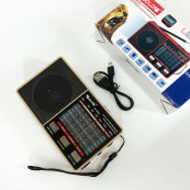 Радіо GOLON RX-8866 цифровий портативний радіоприймач із ліхтариком функцією PowerBank. Колір: золотий. Зображення №2