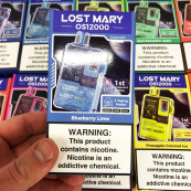 Lost Mary OS12000. Чорниця Лайм (Blueberry Lime). Зображення №2