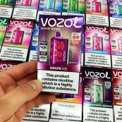 Vozol Rave 40000. Виноград (Grape Ice). Зображення №3 Vozol Rave 40000. Виноград (Grape Ice). Зображення №3