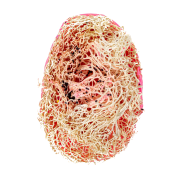 Натуральне мило скраб із люфою Top Beauty з ароматом жувальної гумки. Зображення №4