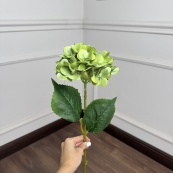 Гортензія штучна латексна h=70см. d=17 cm 1шт. Колір: салатовий. Зображення №2