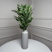 Рускус букет искусственный, В-55 см 5шт/уп. Цвет: зеленый. Изображение №2