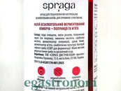 Комбуча полуниця та м'ята (скло) Спрага Spraga 250ml 12шт/ящ. Зображення №2