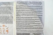 Тортилья пшенична грильована Діджо Dijo grillowana (4*62,5g) 250g. Зображення №2