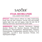 Антивіковий крем для обличчя Sadoer Snail Collagen Reorganizing з муцином равлика 50 г. Зображення №5 Антивіковий крем для обличчя Sadoer Snail Collagen Reorganizing з муцином равлика 50 г. Зображення №5