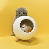 Креативный портативный детский ночник Котик в домике Cat House Белый Светильник с регулировкой яркости. Изображение №6