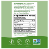 Slippery Elm Bark - 100 vcaps. Зображення №2 Slippery Elm Bark - 100 vcaps. Зображення №2