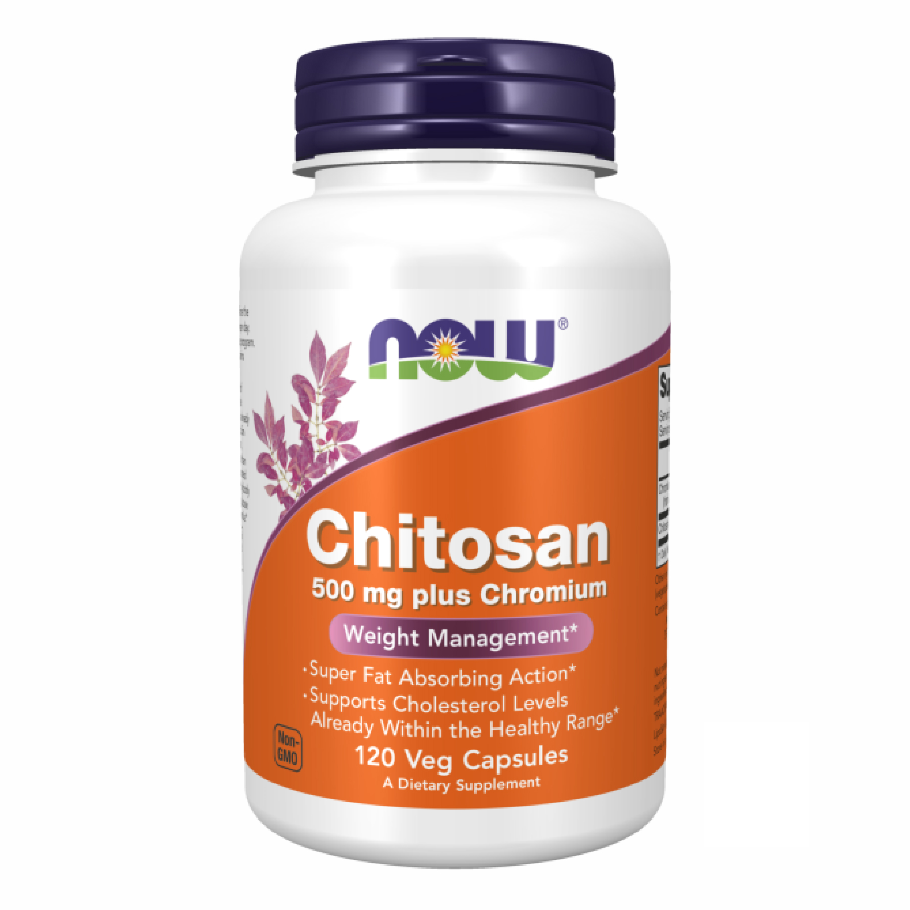 Chitosan - 120caps Chitosan - 120caps