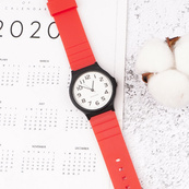 Ремінець для Casio MQ-24 All Red. Зображення №2
