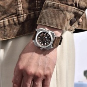 Pagani Design PD-1791 Brown-Silver. Зображення №4 Pagani Design PD-1791 Brown-Silver. Зображення №4