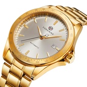 Forsining 8294 Gold-White Steel. Зображення №4