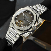 Pagani Design PD-YS025 Silver-Brown. Зображення №3