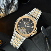 Pagani Design PD-YS025 Silver-Gold-Brown. Зображення №3