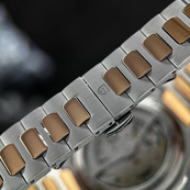 Pagani Design PD-YS025 Silver-Gold-Brown. Зображення №5