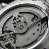 Pagani Design PD-YS025 Silver-Brown. Зображення №7