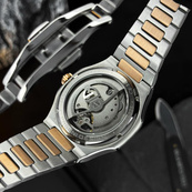 Pagani Design PD-YS025 Silver-Gold-Brown. Зображення №7