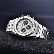 Pagani Design PD-1707 Silver-Silver. Зображення №2