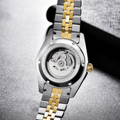 Pagani Design PD-1645 Silver-Gold-Brown. Зображення №4 Pagani Design PD-1645 Silver-Gold-Brown. Зображення №4