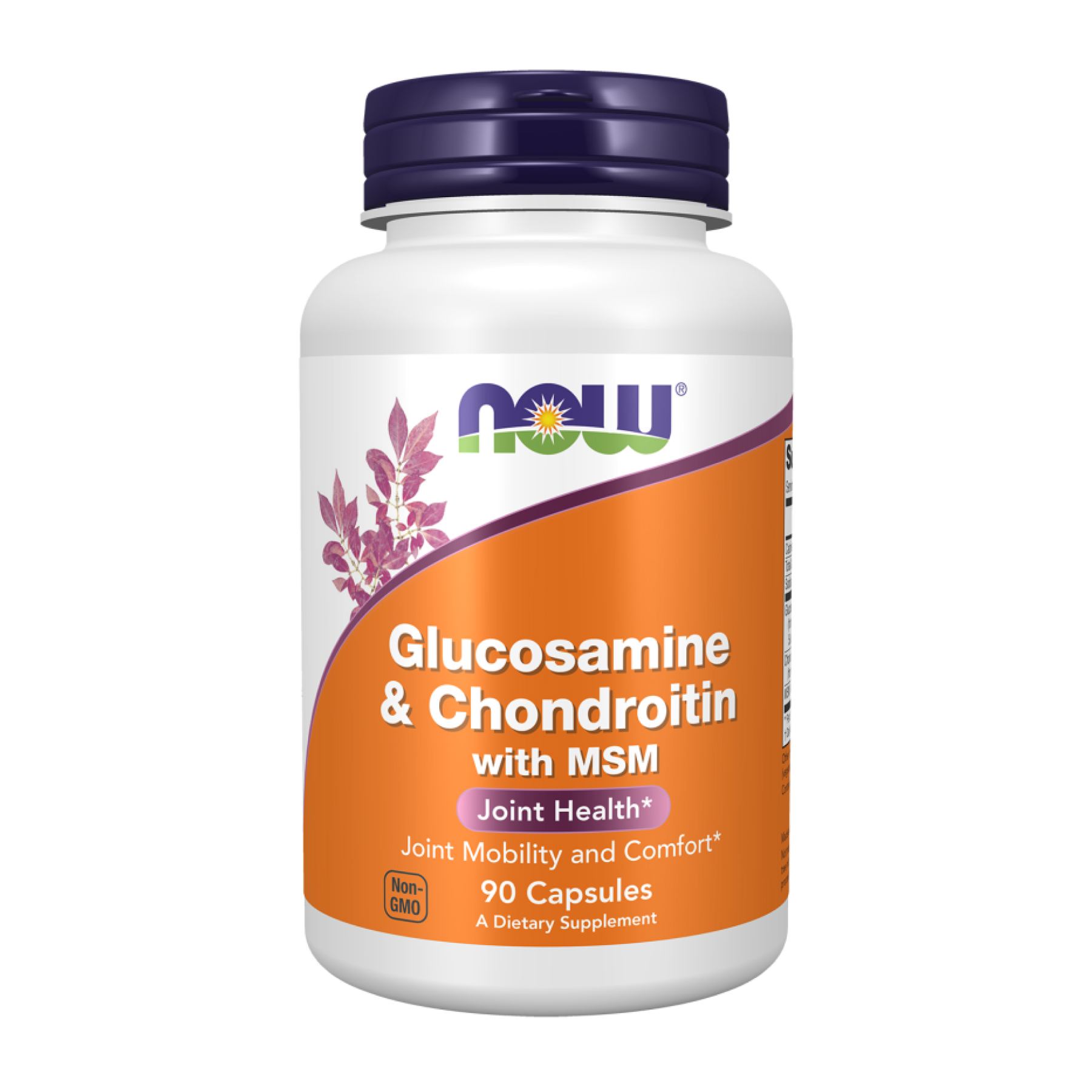 Glucosamine & Chondroitin with MSM - 90 vcaps Glucosamine & Chondroitin with MSM - 90 vcaps