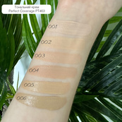 Тональная основа Topface "Instyle - Perfect Coverage Foundation" - PT463 (30 мл) 003 - Beige Rose (розово-бежевый). Изображение №4 Тональная основа Topface "Instyle - Perfect Coverage Foundation" - PT463 (30 мл) 003 - Beige Rose (розово-бежевый). Изображение №4