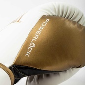 Боксерські рукавиці Everlast POWERLOCK 2R TRAINING GLOVE білий, золотий Уні 10 унцій (P00003048). Зображення №2