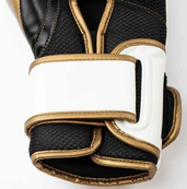 Боксерські рукавиці Everlast POWERLOCK 2R TRAINING GLOVE білий, золотий 12 унцій (P00003049). Зображення №4 Боксерські рукавиці Everlast POWERLOCK 2R TRAINING GLOVE білий, золотий 12 унцій (P00003049). Зображення №4
