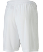 Шорти Puma teamGOAL 23 knit Shorts білий Чол L. Зображення №3 Шорти Puma teamGOAL 23 knit Shorts білий Чол L. Зображення №3