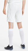 Шорти Puma teamGOAL 23 knit Shorts білий Чол L. Зображення №5 Шорти Puma teamGOAL 23 knit Shorts білий Чол L. Зображення №5