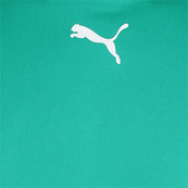 Футболка Puma teamRISE Jersey зелений Чол M. Зображення №3 Футболка Puma teamRISE Jersey зелений Чол M. Зображення №3