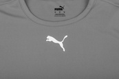 Футболка Puma teamRISE Jersey Jr сірий Діт 152 см. Зображення №2 Футболка Puma teamRISE Jersey Jr сірий Діт 152 см. Зображення №2