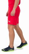 Шорты Puma teamRISE Short красный Муж M. Изображение №5 Шорты Puma teamRISE Short красный Муж M. Изображение №5