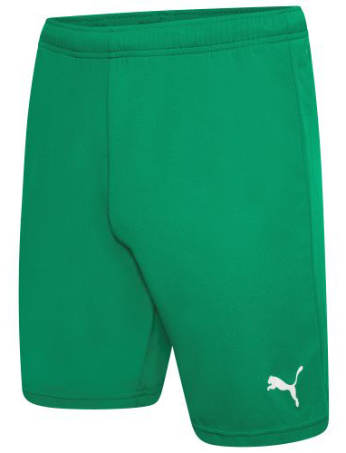 Шорти Puma teamRISE Short зелений Чол L Шорти Puma teamRISE Short зелений Чол L