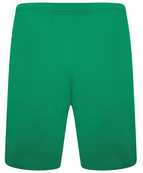 Шорти Puma teamRISE Short зелений Чол L. Зображення №2 Шорти Puma teamRISE Short зелений Чол L. Зображення №2