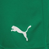 Шорти Puma teamRISE Short зелений Чол XL. Зображення №4