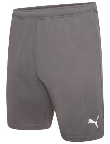 Шорты Puma teamRISE Short серый Чол M Шорты Puma teamRISE Short серый Чол M