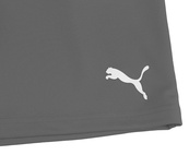 Шорты Puma teamRISE Short серый Чол M. Изображение №3 Шорты Puma teamRISE Short серый Чол M. Изображение №3