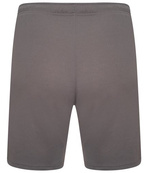Шорты Puma teamRISE Short серый Чол M. Изображение №5 Шорты Puma teamRISE Short серый Чол M. Изображение №5