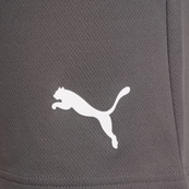 Шорты Puma teamRISE Short серый Чол M. Изображение №6 Шорты Puma teamRISE Short серый Чол M. Изображение №6