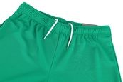 Шорти Puma teamRISE Short зелений Чол XL. Зображення №10