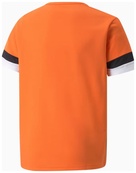 Футболка Puma teamRISE Jersey Jr оранжевый Дет 116 см. Изображение №2 Футболка Puma teamRISE Jersey Jr оранжевый Дет 116 см. Изображение №2