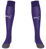 Гетри Puma Team LIGA Socks CORE бузковий Уні 39-42. Зображення №2