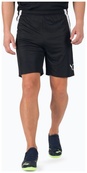 Спортивные шорты Puma teamLIGA Shorts черный Муж S. Изображение №2 Спортивные шорты Puma teamLIGA Shorts черный Муж S. Изображение №2