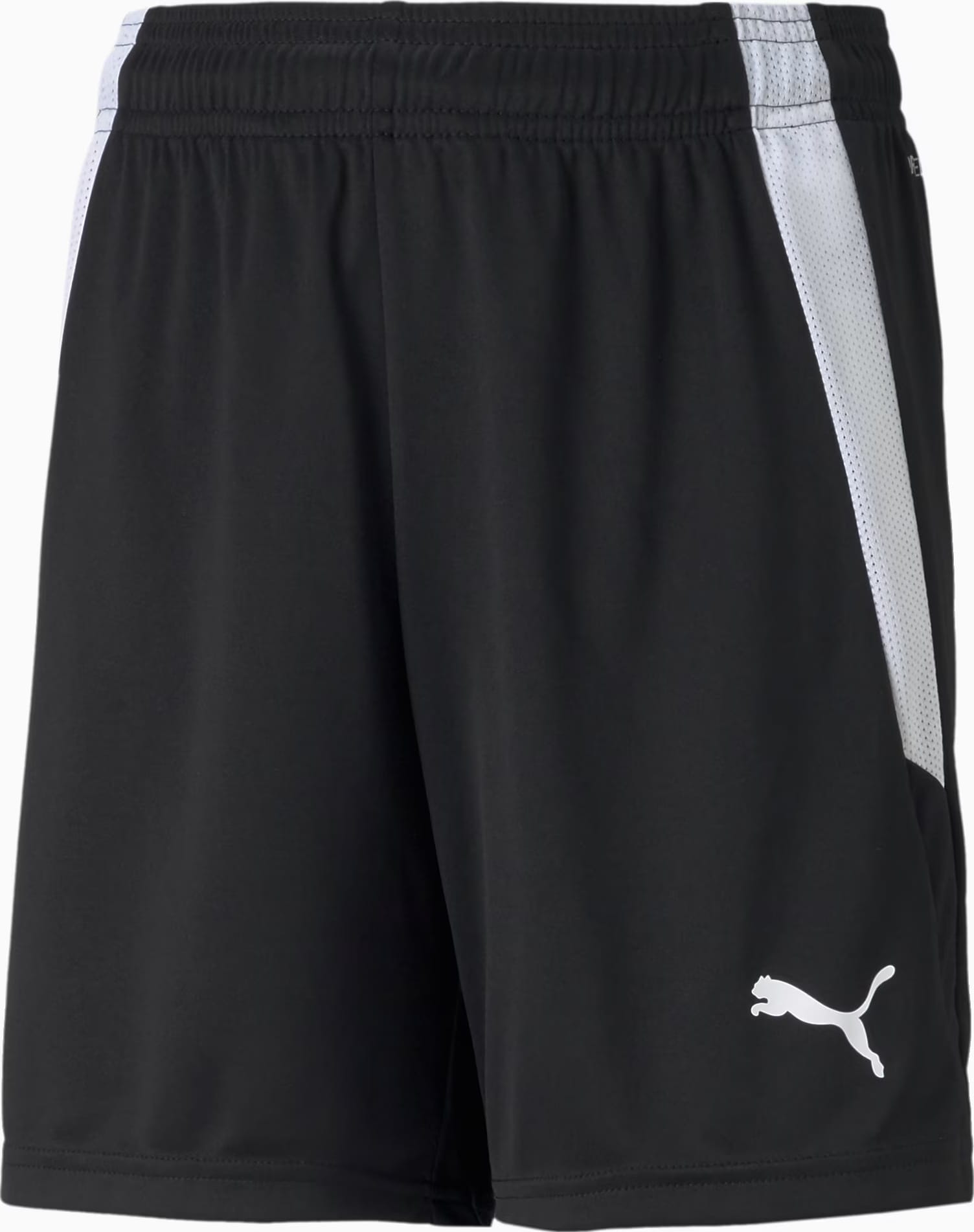 Шорти Puma teamLIGA Shorts Jr чорний, білий дитячий 140 см (704931-03) Шорти Puma teamLIGA Shorts Jr чорний, білий дитячий 140 см (704931-03)