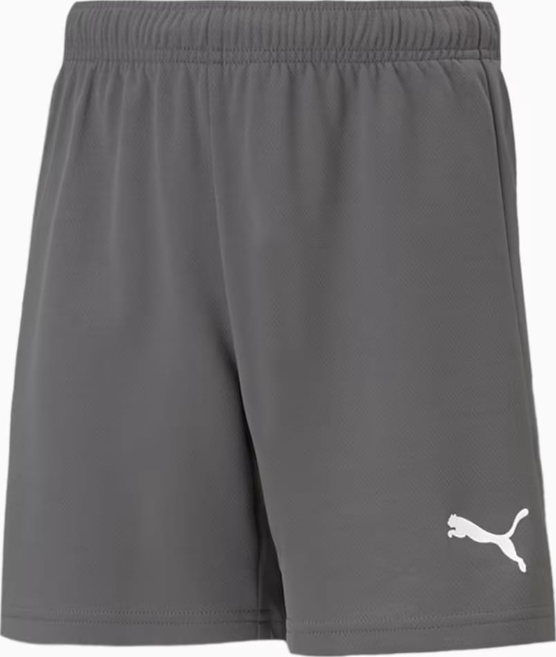 Шорти Puma teamRISE Short Jr сірий дитячий 152 см (704943-13) Шорти Puma teamRISE Short Jr сірий дитячий 152 см (704943-13)