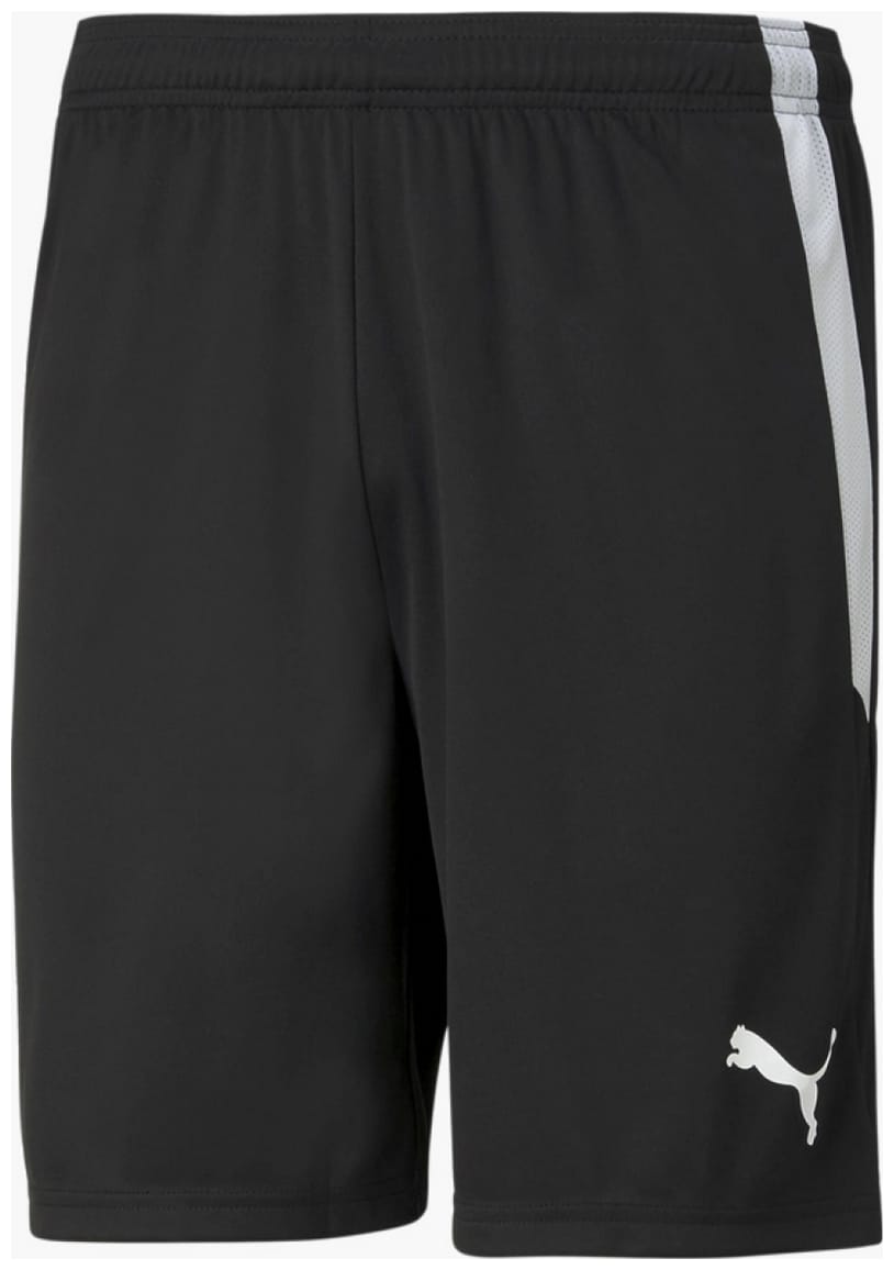 Спортивні шорти Puma teamLIGA Shorts чорний Чол XXL (704924-03) Спортивні шорти Puma teamLIGA Shorts чорний Чол XXL (704924-03)