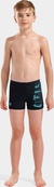 Плавки-шорты для мальчиков Arena TALES SWIM SHORT черный, бирюзовый 116 см. Изображение №2 Плавки-шорты для мальчиков Arena TALES SWIM SHORT черный, бирюзовый 116 см. Изображение №2