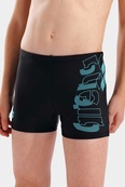 Плавки-шорты для мальчиков Arena TALES SWIM SHORT черный, бирюзовый 116 см. Изображение №3 Плавки-шорты для мальчиков Arena TALES SWIM SHORT черный, бирюзовый 116 см. Изображение №3