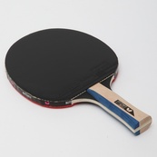 Ракетка для настільного тенісу Butterfly Timo Boll Silver. Зображення №6 Ракетка для настільного тенісу Butterfly Timo Boll Silver. Зображення №6